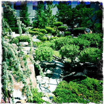 Healing Garden