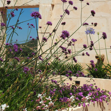 Walled Courtyard Garden