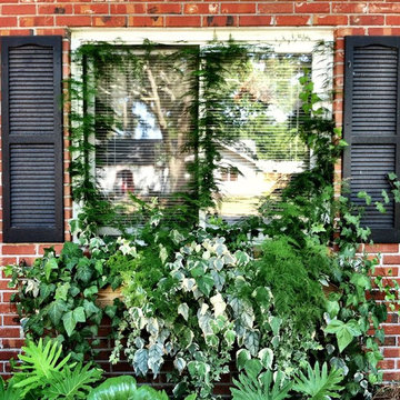 Potted Plants & Flower Beds