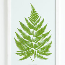 Wall pieces