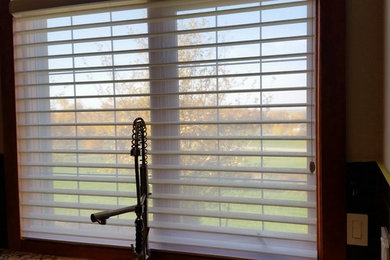 Hunter Douglas Silhouette Privacy Sheer