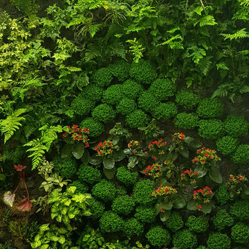 JARDINES VERTICALES