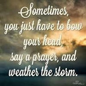 Nichole Buckman's photo