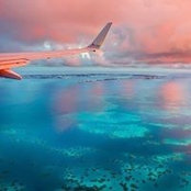 Foto von Michelle Dunleavy