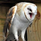 Mathew Huhn's photo