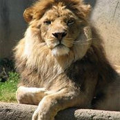 Fee Koehl's photo