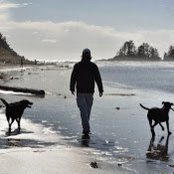 James Weedmark's photo