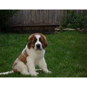 Jacquelyn Johansen's photo