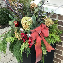 Winter container