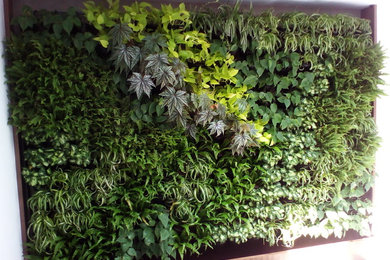 Photo of a modern landscaping in Other.