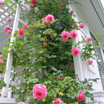 Garden Structures