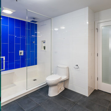 Lake Shore Drive Contemporary Gut Renovation