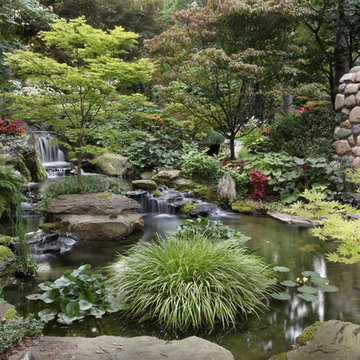 Water Features