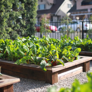 Leighton Ave Urban Farm