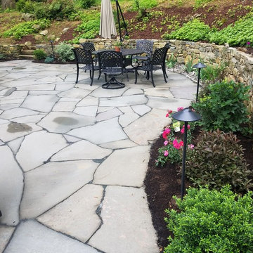 Backyard design