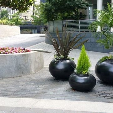 Recent landscape installation projects