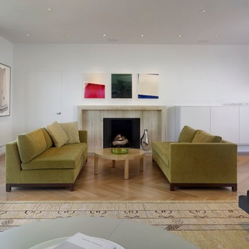 Contemporary Living Room