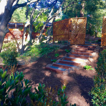 Orinda Oak Forest Landscape and Lighting