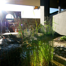 High Desert Zen and ...