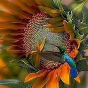 Janet Johnston's photo
