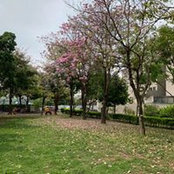 林幸慧's photo