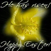 Donya Johnson's photo