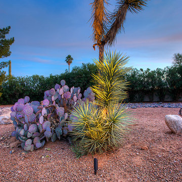 North 52nd St Irrigation & Landscape Lighting Installation