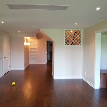 Basement Reno