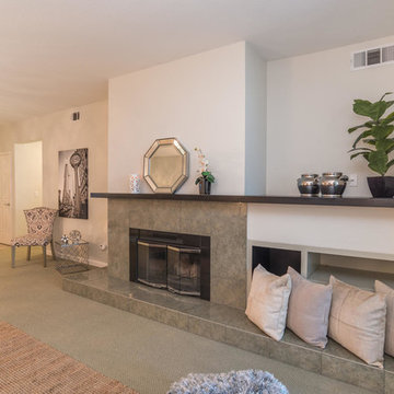 Living Room Fireplace