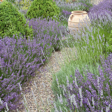 Herb Garden with Boxwood