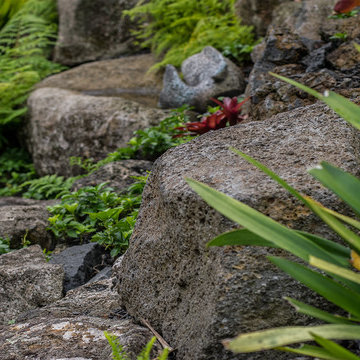 Hawaiian Landscape