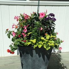 Planters