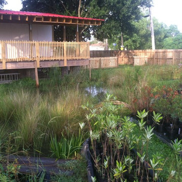 Common Ground Wetland Nursery