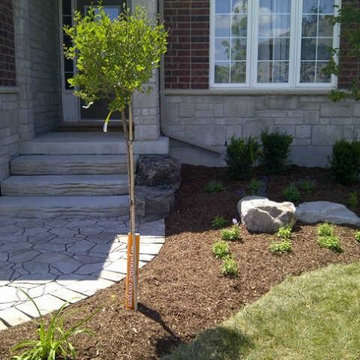 Our Work