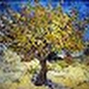 Lauren Sindt's photo