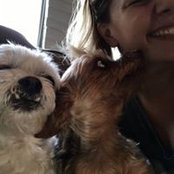 Abby Kresge's photo