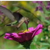 Shirley Brink's photo