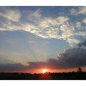 Natasha Bacchus's photo