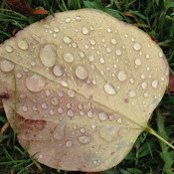 Francisca Drexel's photo