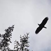 Phillip Rice's photo