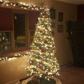 Dyan Brinkman's photo