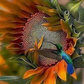 Foto von Michelle Hunt