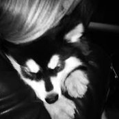 Laura-Jane Clark's photo
