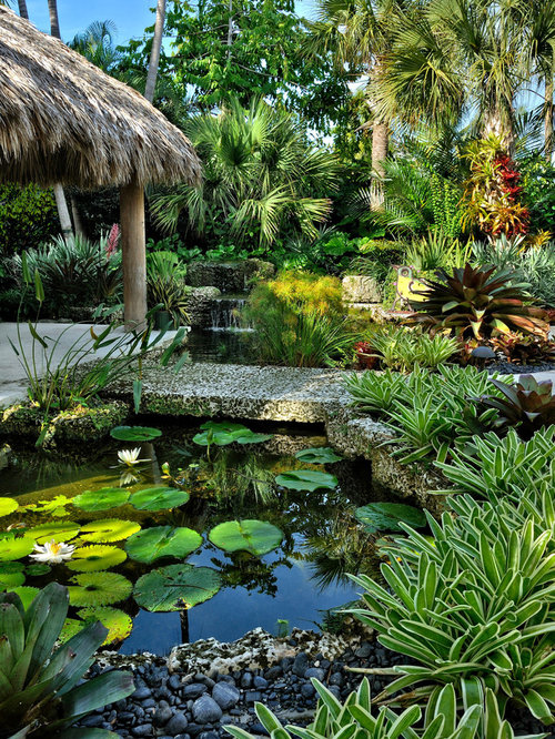 Tropical Pond Houzz