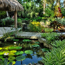 Tropical Landscapes