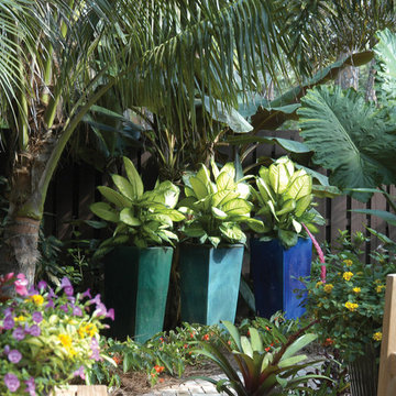 The Pool Garden