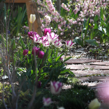 Spruce Street Spring Garden Detail