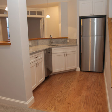 Belmont basement conversion