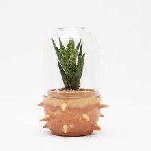 dani_diangelo's ideas
