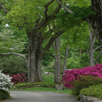 Driveway plantings